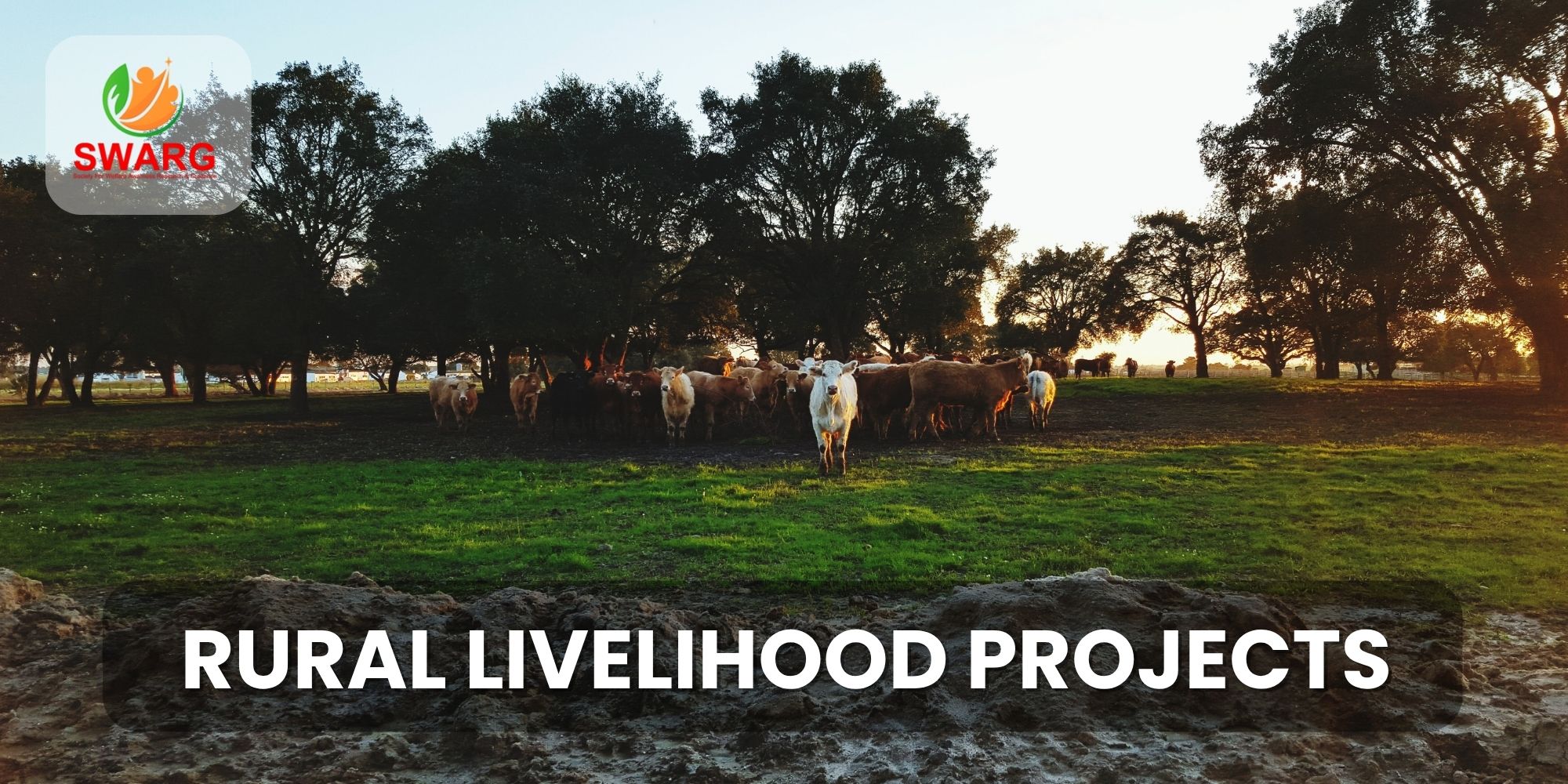 Rural livelihood projects-min